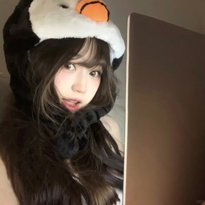 企鹅家族