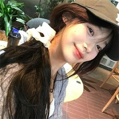北极狗